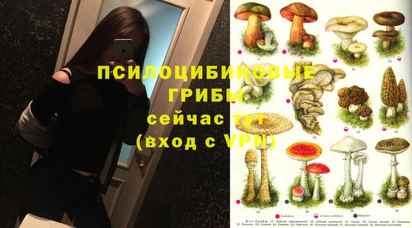соль курить ск Арсеньев