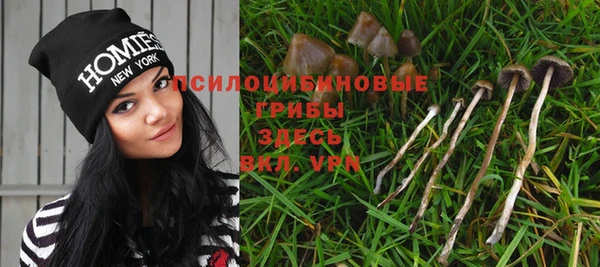 стаф Балахна